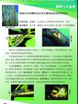 青杨天牛刻槽特征及其对繁殖调控效用的研究